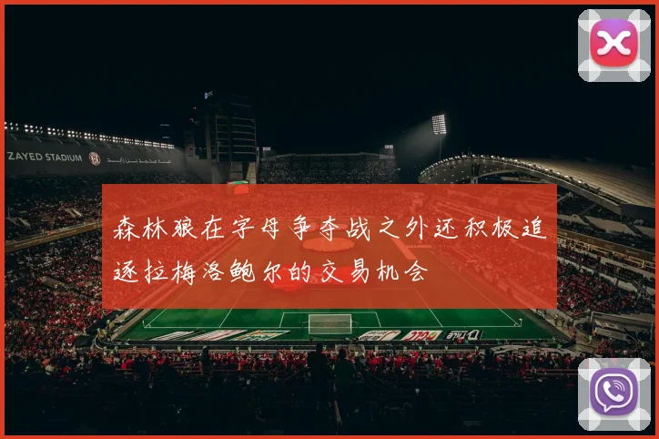 森林狼在字母争夺战之外还积极追逐拉梅洛鲍尔的交易机会